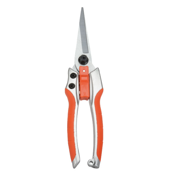 Pruning Shear