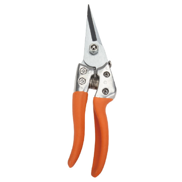 Trimming Pruning Shear