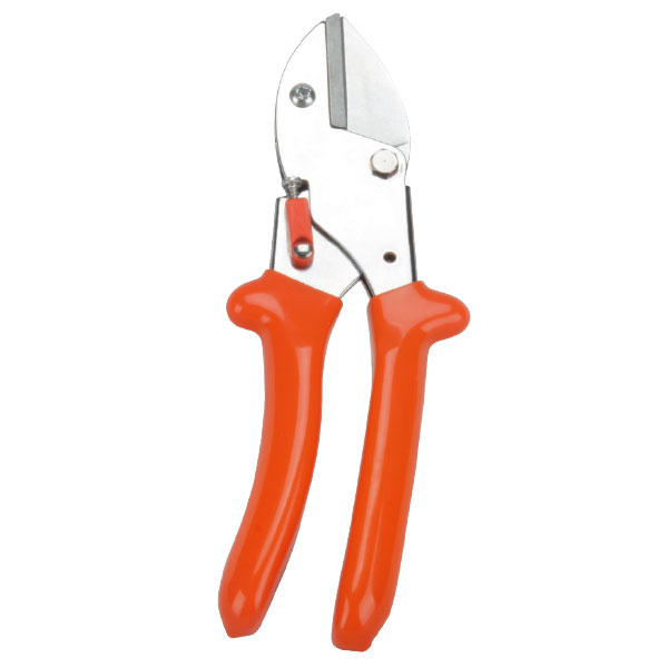 Pruning Shear