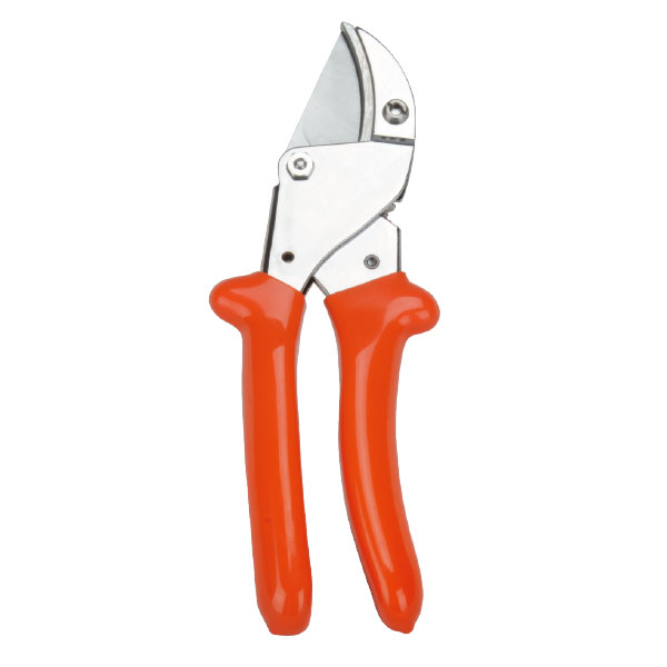 Pruning Shear