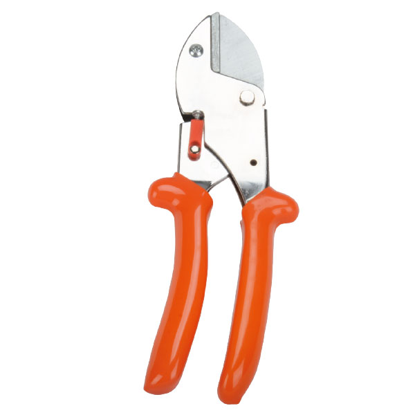 Pruning Shear