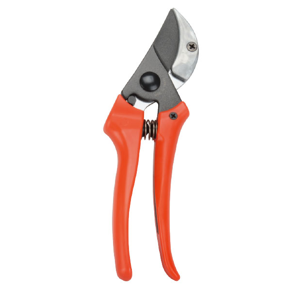 Pruning Shear