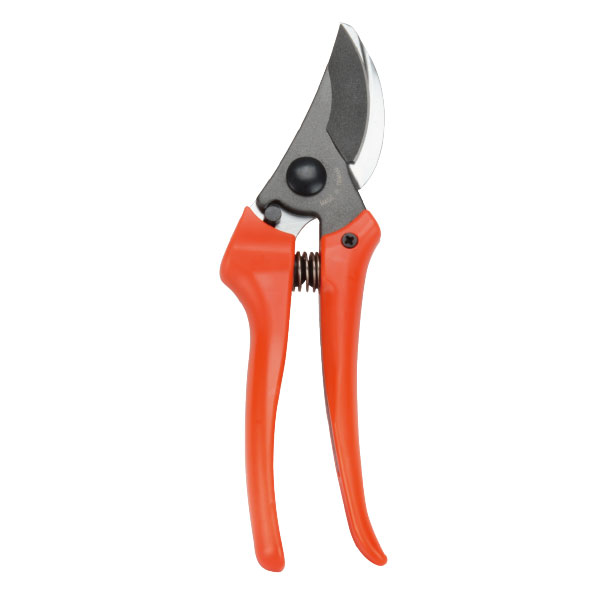 Pruning Shear