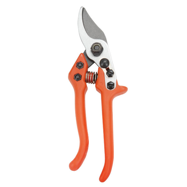 Pruning Shear