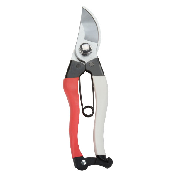 Pruning Shear