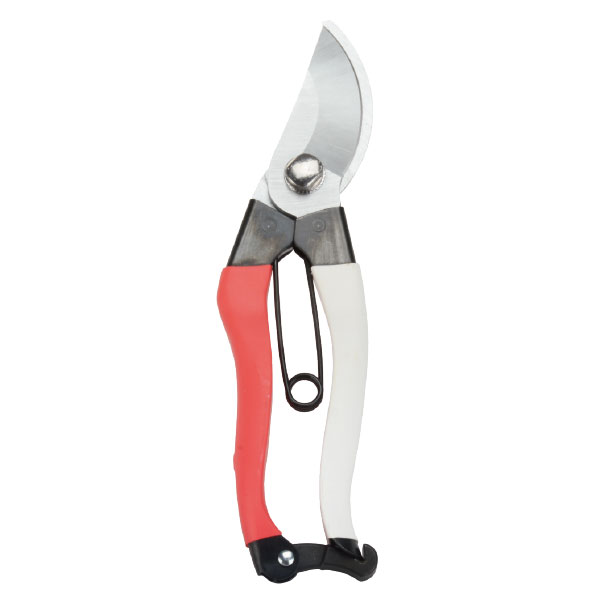 Pruning Shear