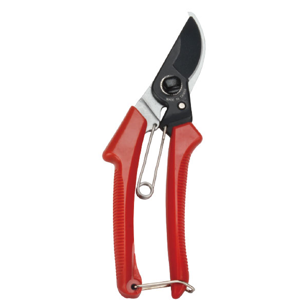 Pruning Shear