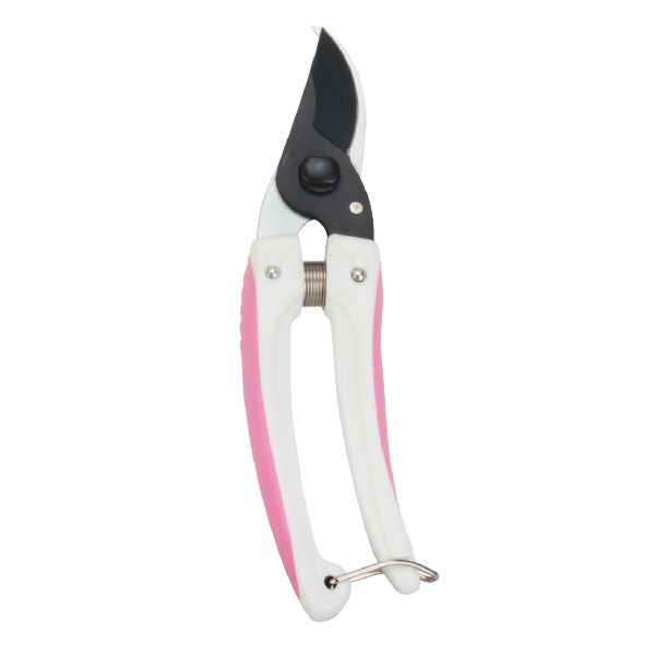 Pruning Shear