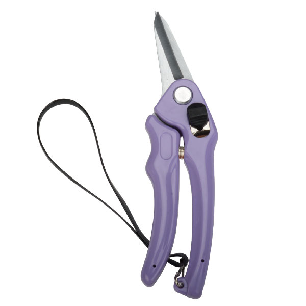 Pruning Shear