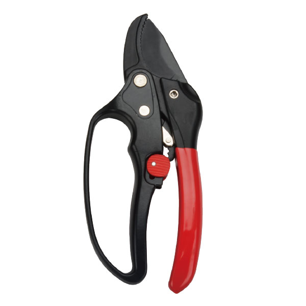 Ratchet Pruning Shear