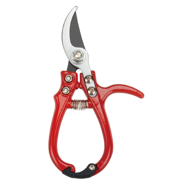 Pruning Shear