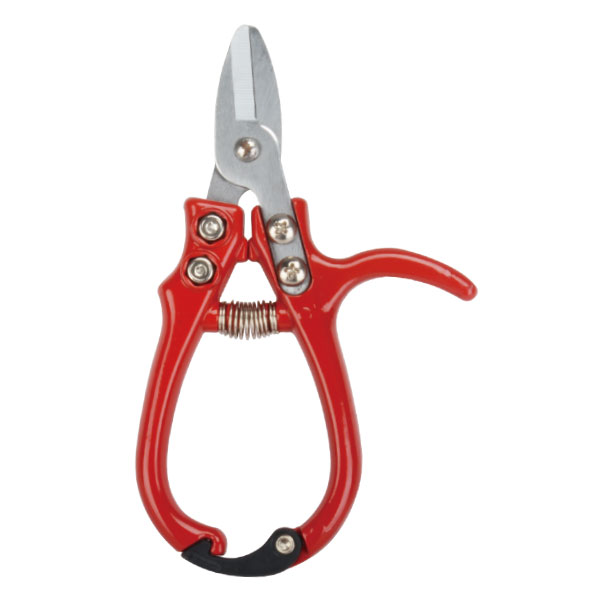 Pruning Shear