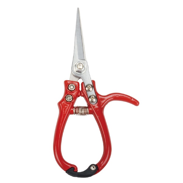 Pruning Shear